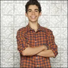 Quel rôle joue-t-il ?