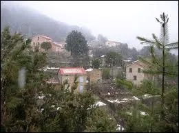 Pastricciola est un village corse de l'arrondissement d'Ajaccio. Il se site dans le département ...