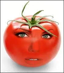 "Monder" une tomate, c'est enlever la peau.