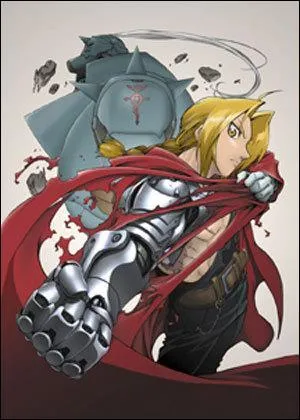 Pourquoi l'un des deux a une armure et l'autre un bras en métal ?