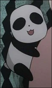 Comment s'appelle son petit panda ?