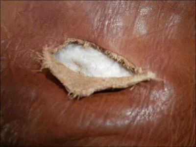 Je suis une déchirure.