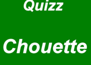 Quiz Chouette ou hibou