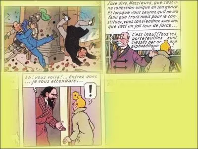 Avant que le capitaine Haddock ne rachète le château de ses ancêtres, par qui était-il occupé ?
