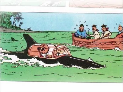 Le professeur Tournesol a inventé un petit sous-marin . Quel en était la forme ?