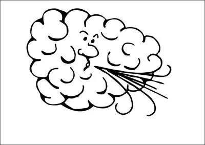 Qu' est-ce que "l'anémophobie" ?