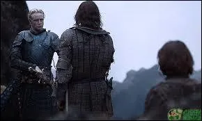 Qui sort vainqueur du combat entre Brienne de Torth et Sandor Clegane ?