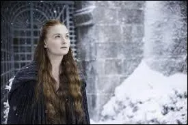 Quel château Sansa Stark a-t-elle construit avec la neige des Erryés ?