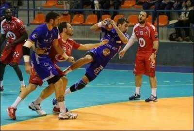 Sport : en 2014, qui fut le tenant du titre lors du championnat européen de handball ?