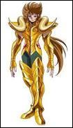 Quiz Saint seiya
