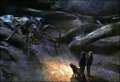 Quel est le nom de l'épouse d'Aragog ?