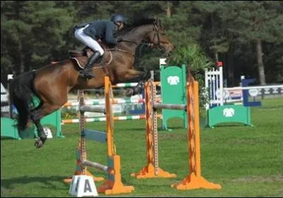 Quel obstacle est représenté sur l'image ?