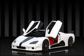 25&egrave;me place 2, 8 secs : quelle est cette voiture ?