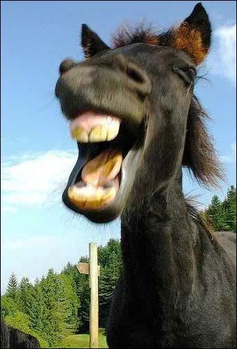 Un indice : C'est dans un coin du bois d'Boulogne - Que j'ai rencontré Félicie ...