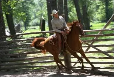 Né le 18 août 1936, la tête à l'envers, Pieds nus dans le parc, il fit partie des hommes du Président, avec lui c'est L'arnaque, c'est aussi lui qui murmurait à l'oreille des chevaux :