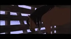 Spirit se fait encore capturer. Où se retrouve-t-il ?