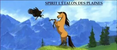 Spirit devient le chef des étalons du Cimarron comme :