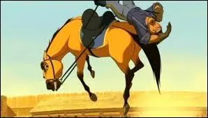 À quoi le colonel condamne-t-il Spirit ?