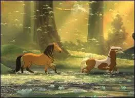 Petit Nuage demande alors à Rivière de faire découvrir leur monde à Spirit. Que se passe-t-il alors ?