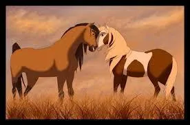 Qu'offre Spirit à Rivière ?