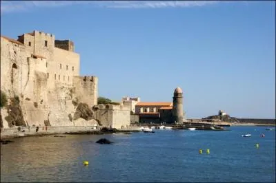 Pyrénées-Orientales. Côte Vermeille. Anchois !