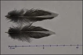 Les trois réponses vous paraitront convenir, mais une seule est la bonne, trouvez-la sans partir dans la démesure !