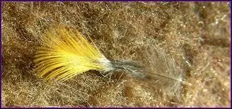 Si vous ne trouvez pas, demandez à un certain "Gros minet", de ma part !