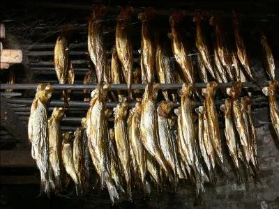 Les harengs aiment m'enfiler.