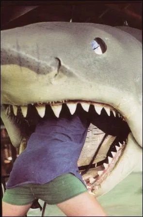 Eh oui, quand l'animal est électronique, il demande de nombreux préparatifs qui prennent curieusement la couleur du film, dans lequel le requin avale pas mal de monde... Quel est le film ?
