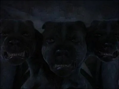 Dans Harry Potter à l'école des sorciers, Touffu le chien géant à trois têtes, garde l'entrée d'un passage secret. Pour endormir le chien, un instrument de musique doit jouer. Quel instrument a été "enchanté" pour cela ?