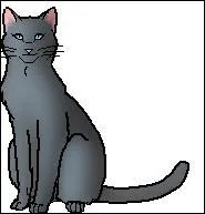 Qui est le compagnon d'Etoile de Brume (anciennement Patte de Brume) ?