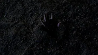 Qui a enterré vivante Alison ?