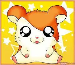 Complétez le générique de Hamtaro : Petit hamster...