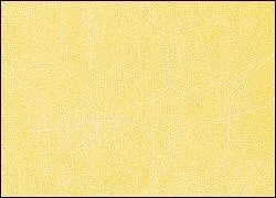 Quel est le nom de cette couleur ?