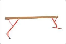 Comment s'appelle cet agrès ?