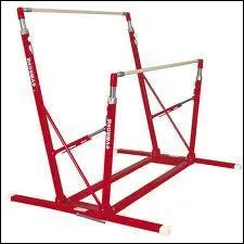 Quelle est la première gymnaste à avoir eu un 10 aux barres asymétriques ?