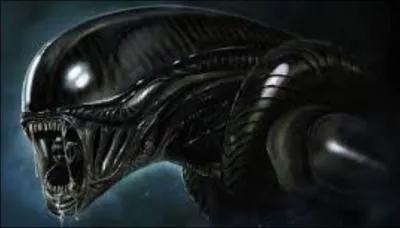 J'ai affronté le premier ....