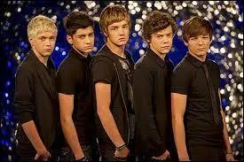 Quel membre du groupe a choisi le nom "One Direction" ?