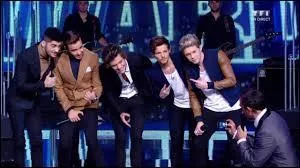 Quelle chanson les garçons ont-ils interprétée aux NRJ Music Awards 2013 ?