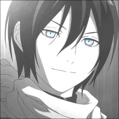 On le retrouve dans...