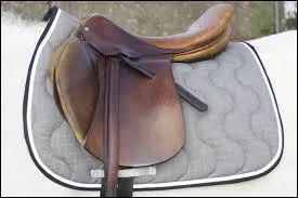 Pourquoi met-on un tapis sous la selle ?