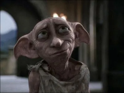 Quels sont les premiers (Harry Potter et la Chambre des Secrets) et les derniers mots de Dobby ?