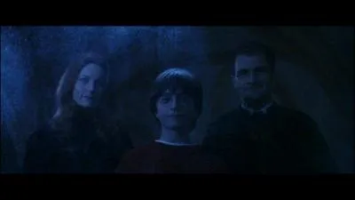 En quelle année James et Lily Potter sont-ils nés ?