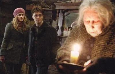 Qui accompagne vraiment Hermione et Harry chez Bathilda Tourdesac à Godric's Hollow ?