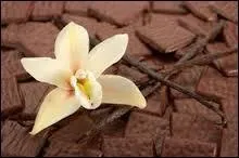 Quelle est cet ensemble "gousse / fleur" ?