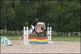 Comment s'appelle cet obstacle ?