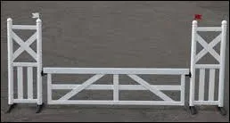 Comment s'appelle cet obstacle ?