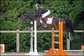 Comment s'appelle cet obstacle ?