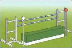 Comment s'appelle cet obstacle ?