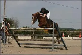 Comment s'appelle cet obstacle ?